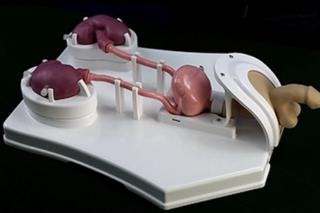Preclinic Medtech's Urological Endoscope Model Shines in Zhejiang Province Ureteroscopy Skills Competition
