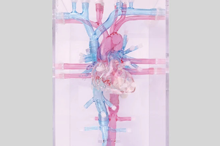 Preclinic Medtech Selected as