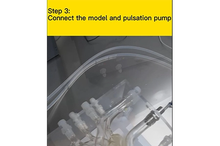 How to Use Silicone Neuro Vessels?