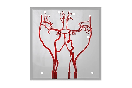 Real Anatomical Structure of Silicone Peripheral Vessels