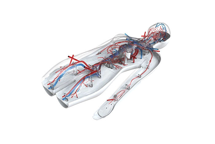 Maximizing Medical Training: Why High-Quality Medical-Grade Silicone Vascular Models Matter