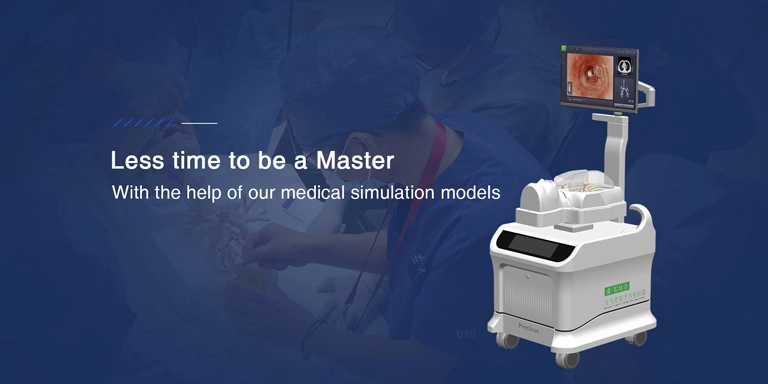 Medical Simulation Models