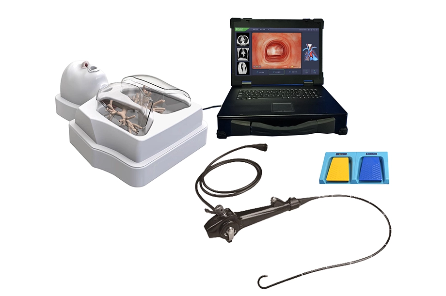 Bronchoscopy Training Model