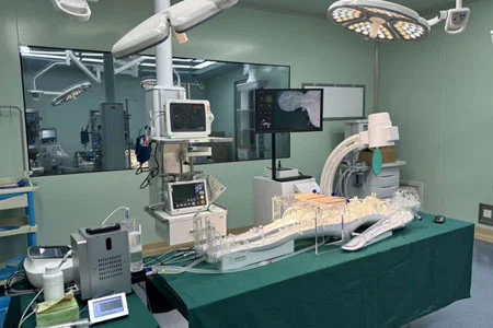 Significance of Medical Training Devices in Reducing Patient Risks