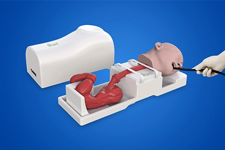 Upper Gastrointestinal Simulator