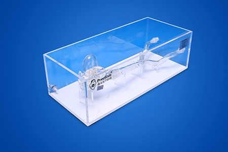 Transseptal Puncture Vessel Model