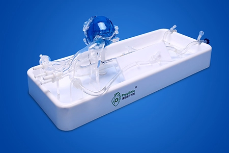 Coronary Artery Simulation Model