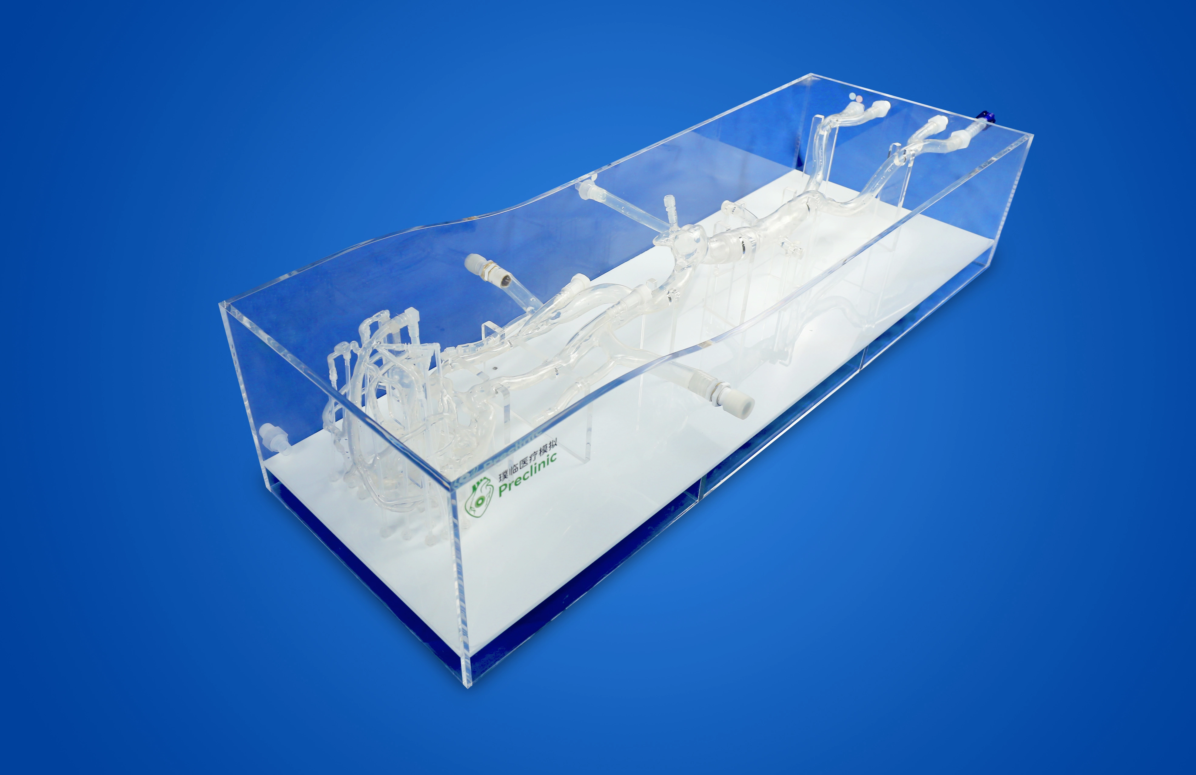 Intracranial Femoral Vein Model