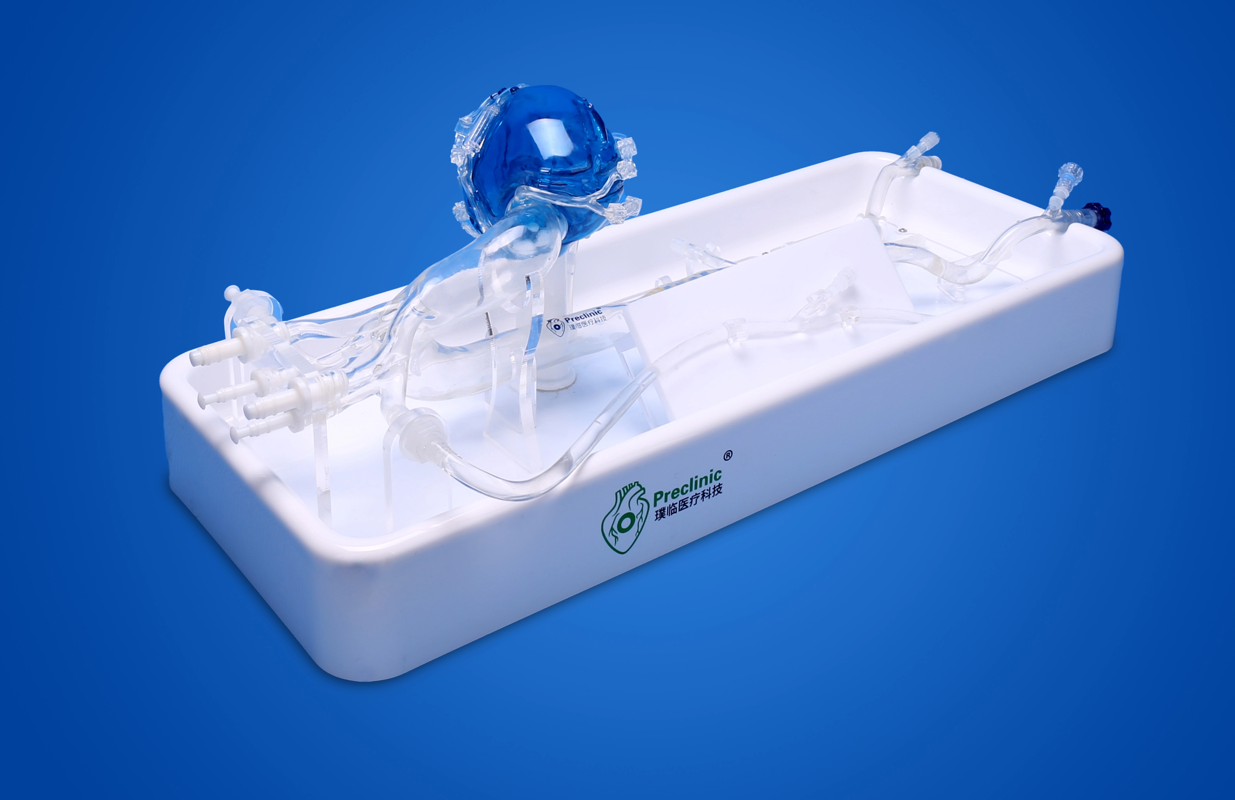 Silicone Cardiac Vessels