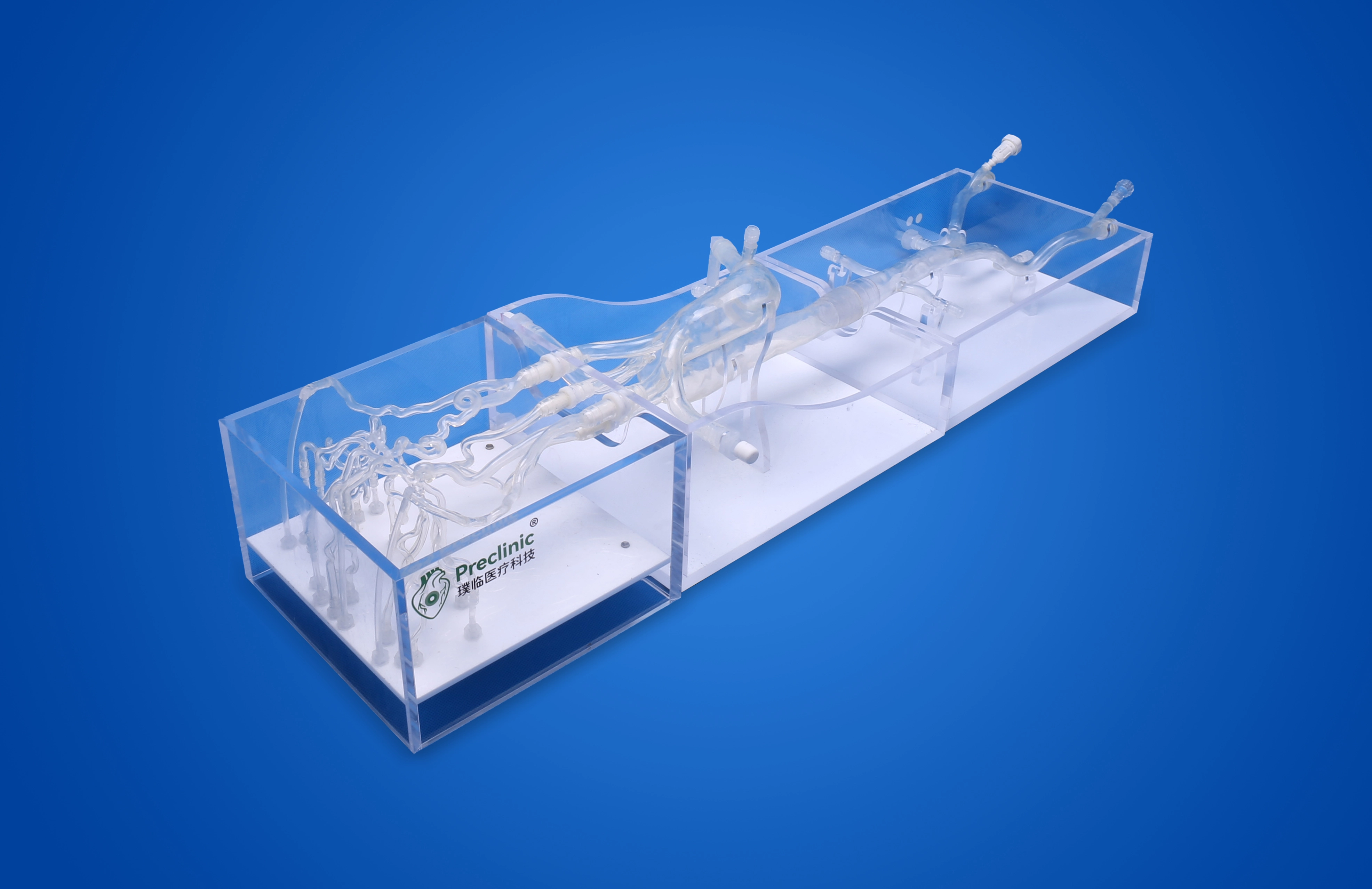 Silicone Neuro Vessels