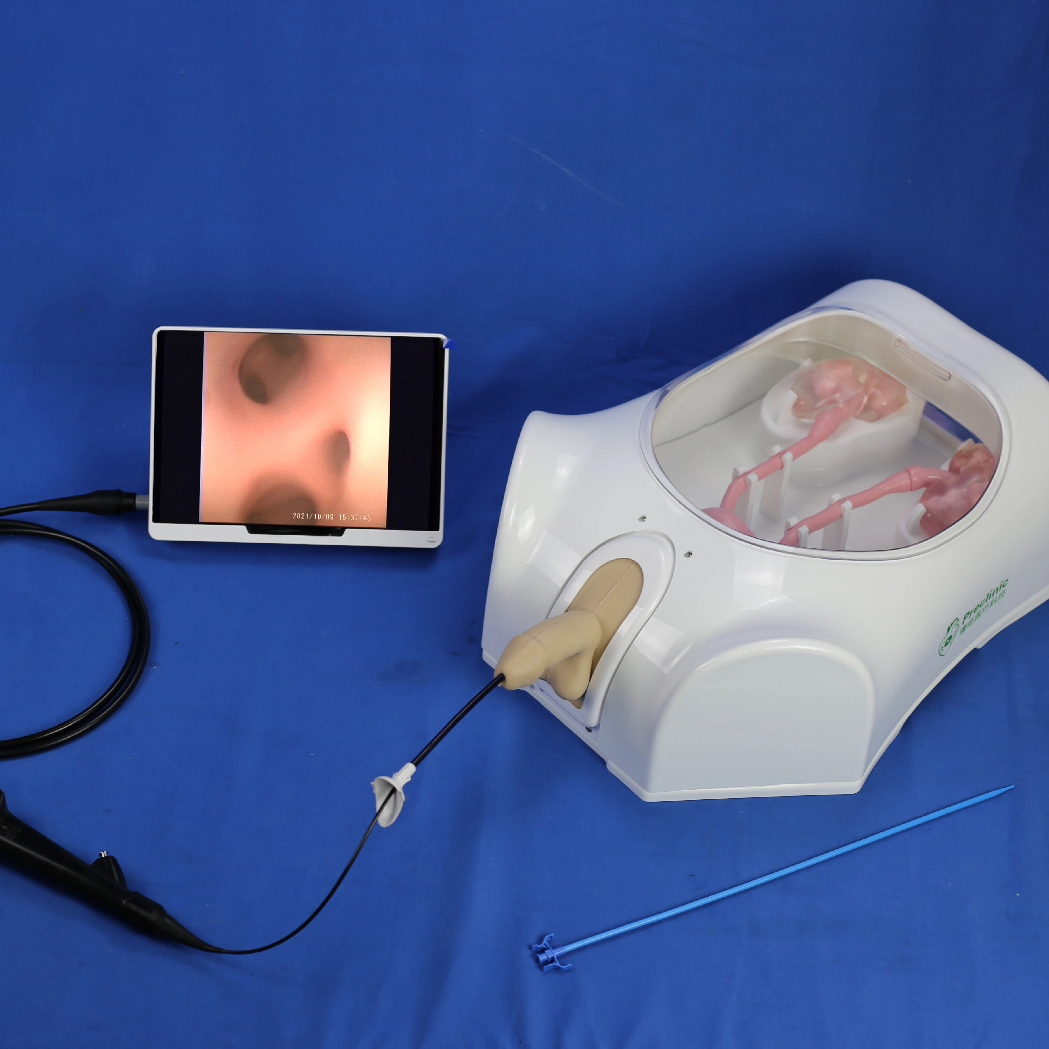 urinary models
