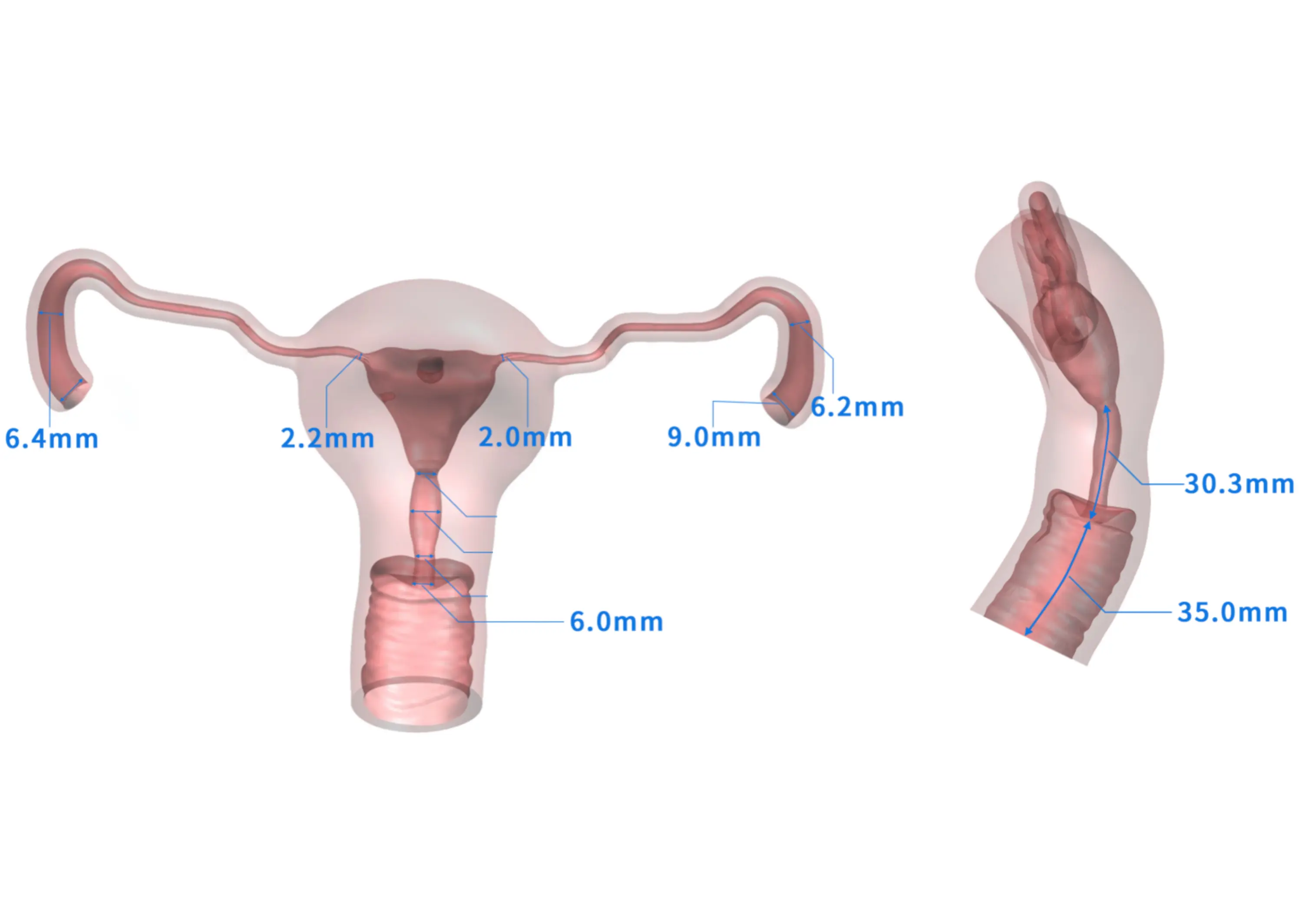 Drawing of Hysteroscopy Simulator