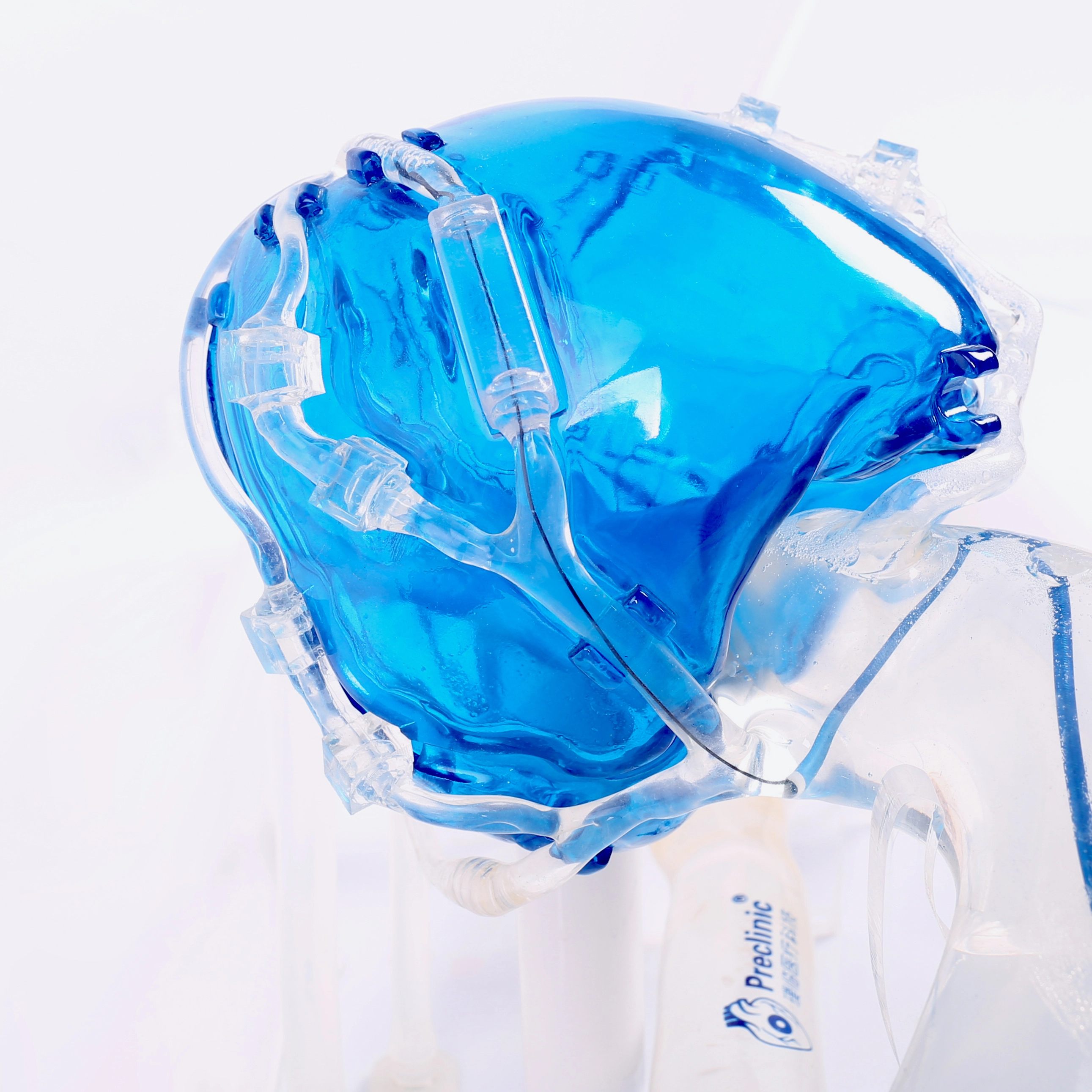 coronary artery 3d model