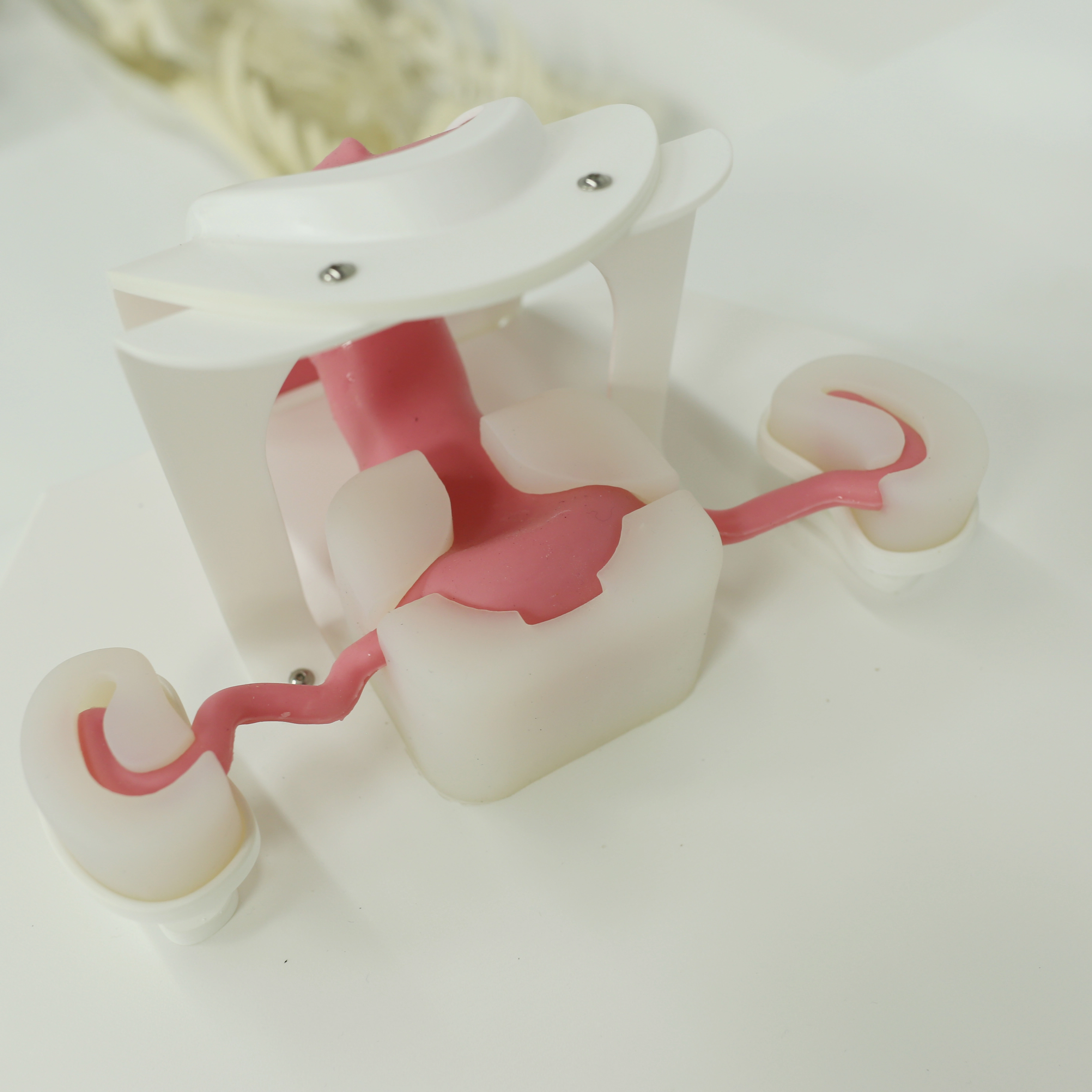 hysteroscopy training model