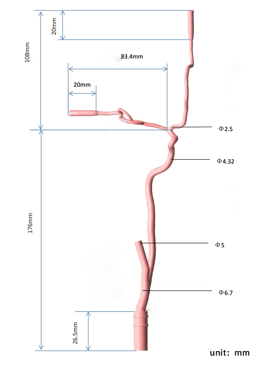 Drawing of Anterior Cerebral Circulation Vessel Model