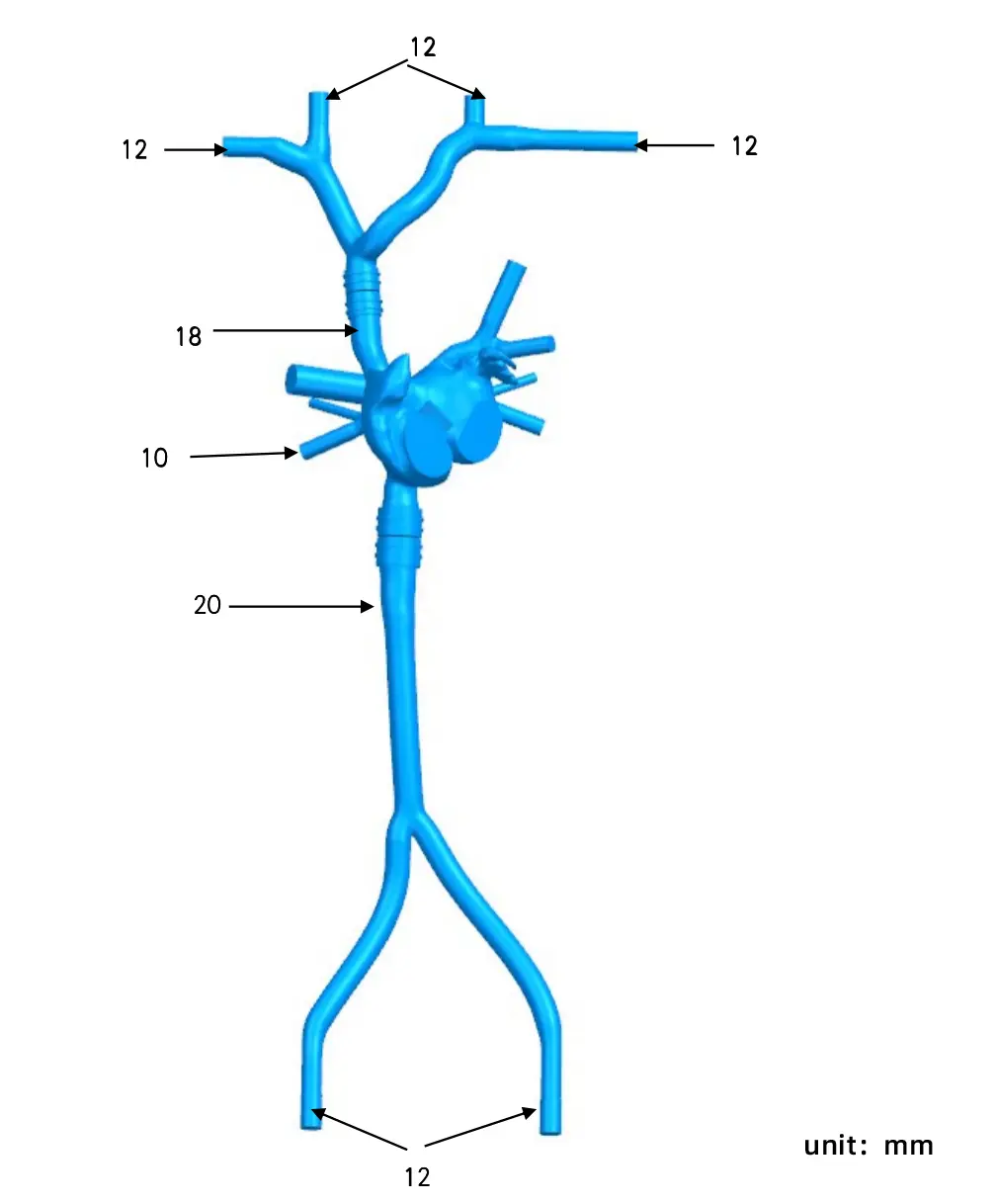 Drawing of Transseptal Puncture Vessel Model