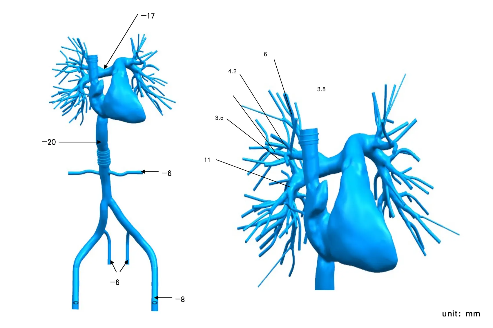 Drawing of Right Cardio-Pulmonary Artery Simulation Model