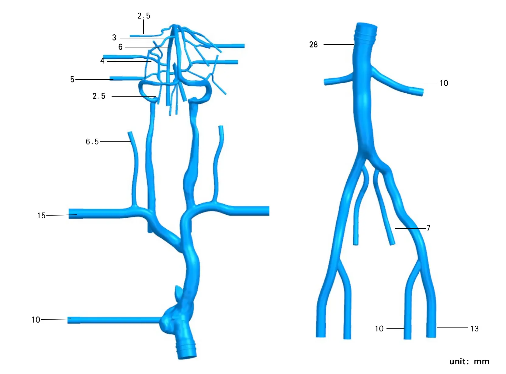 Drawing of Intracranial Femoral Vein Model