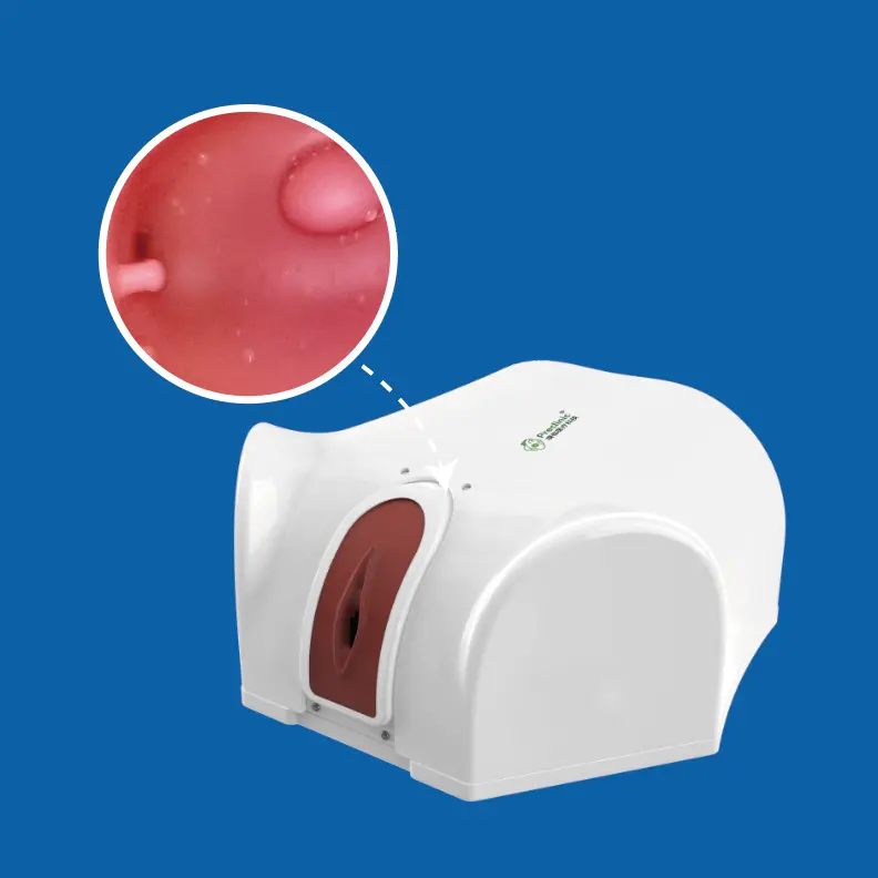 hysteroscopy simulator