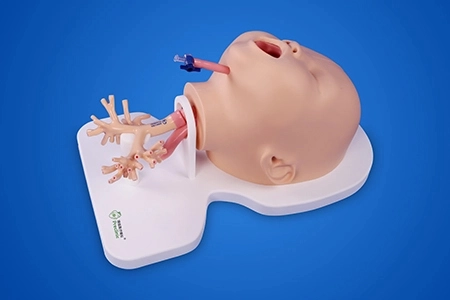 Pediatric Bronchoscope Training Model