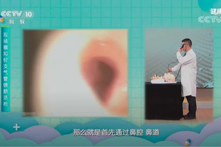 Intervention Training Model of Respiratory Endoscopy