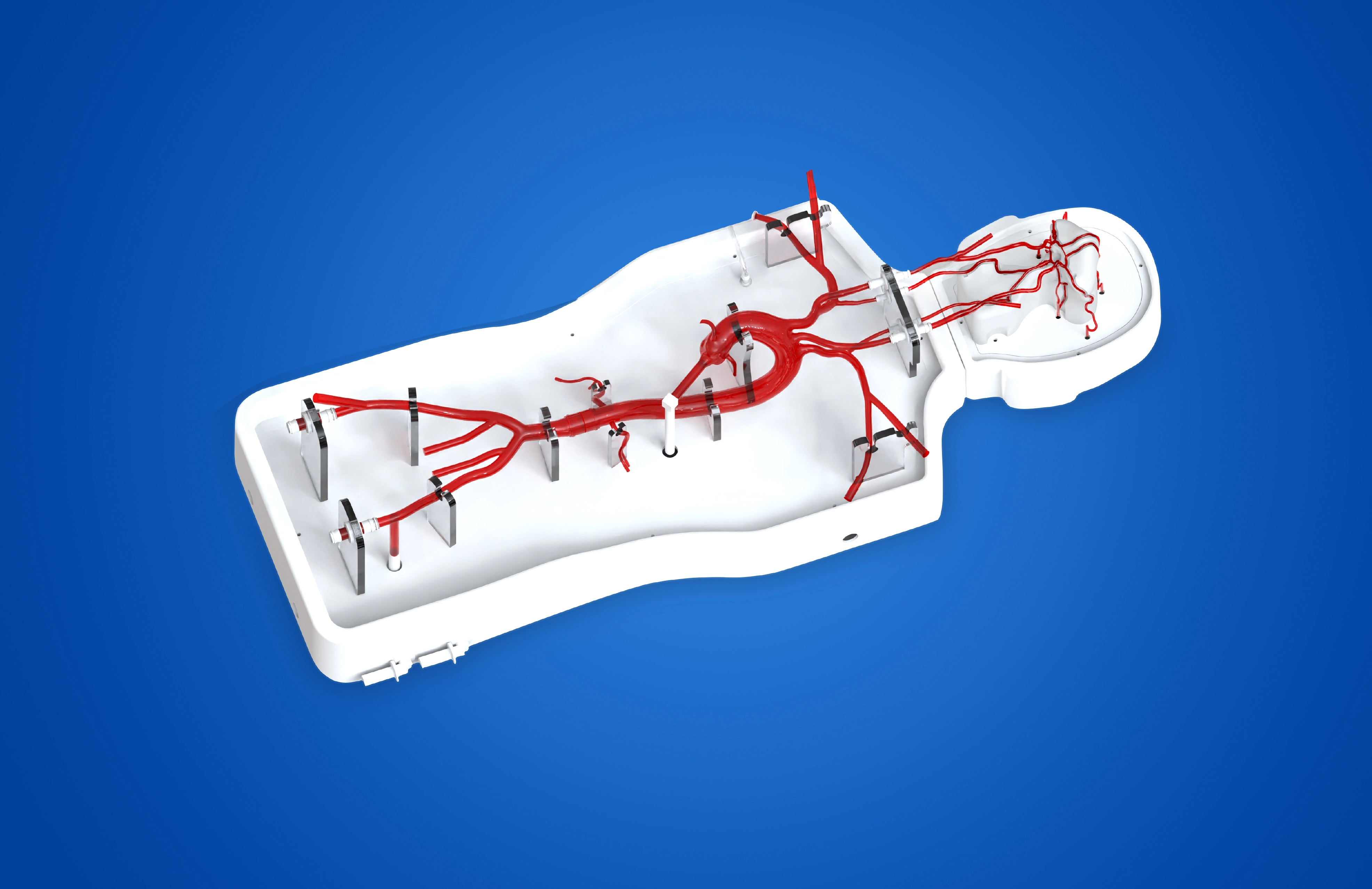 Neuro vascular intervention simulation