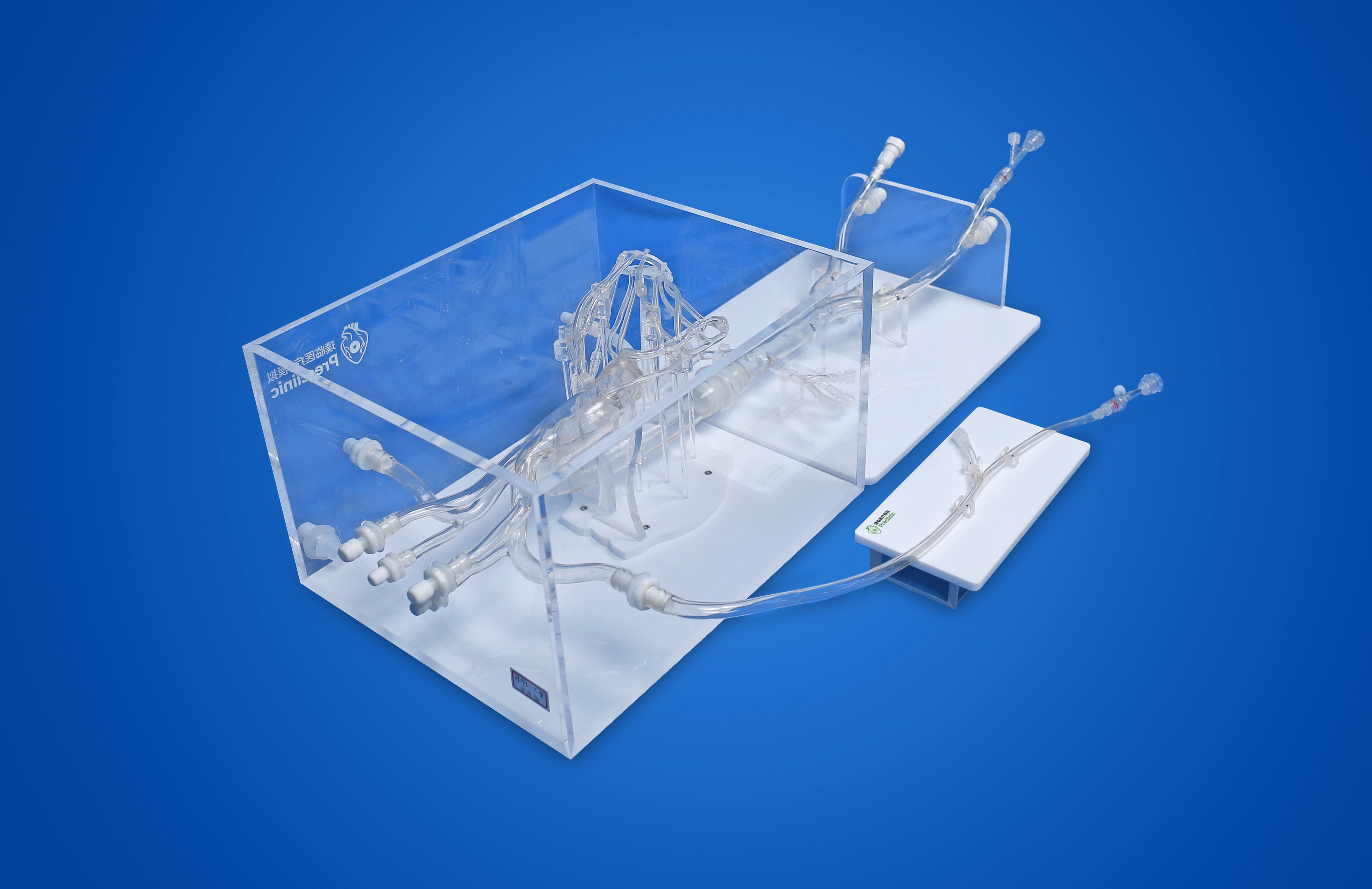 Coronary Training Model - C（Immersion version）