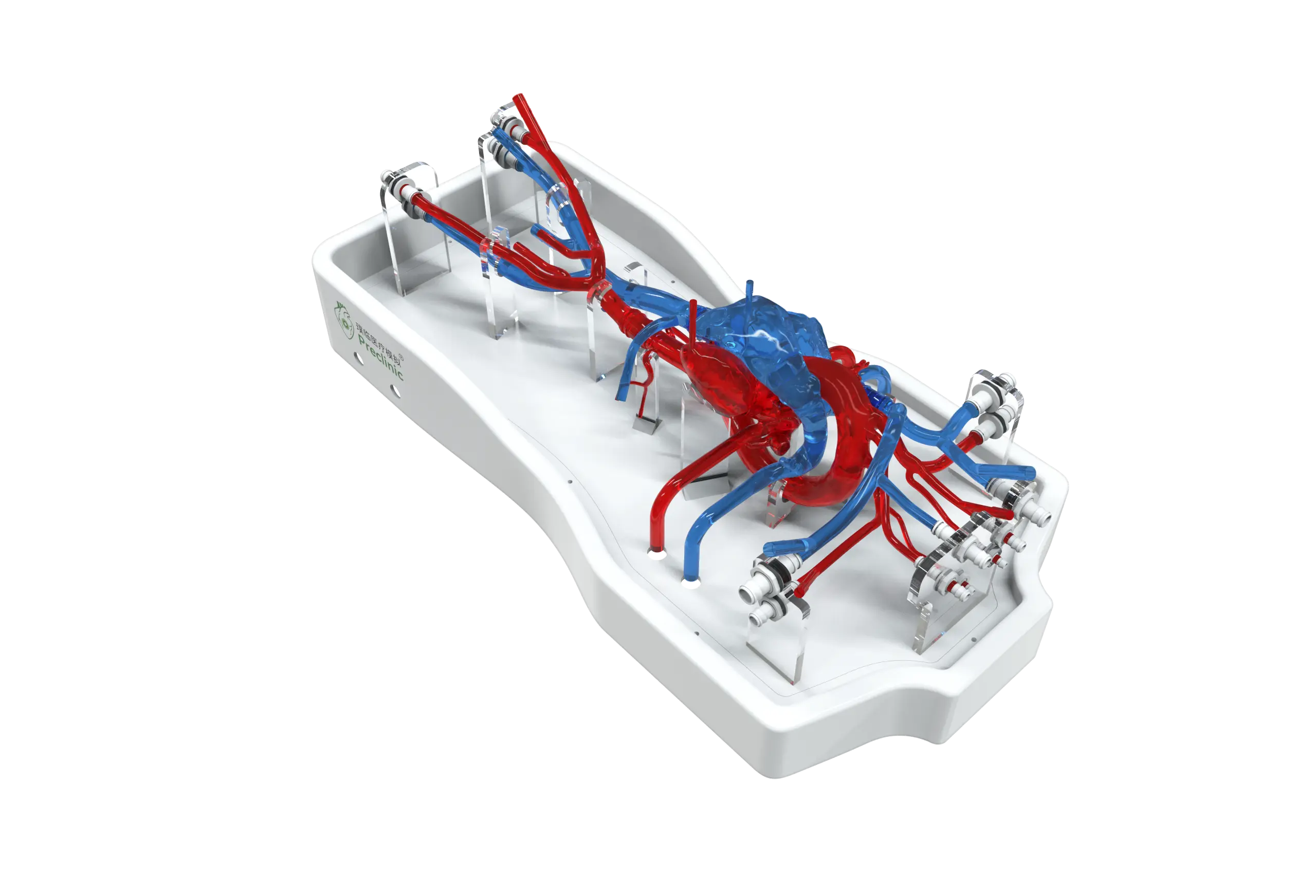 Drawing of Cardiac Training Model - Type A