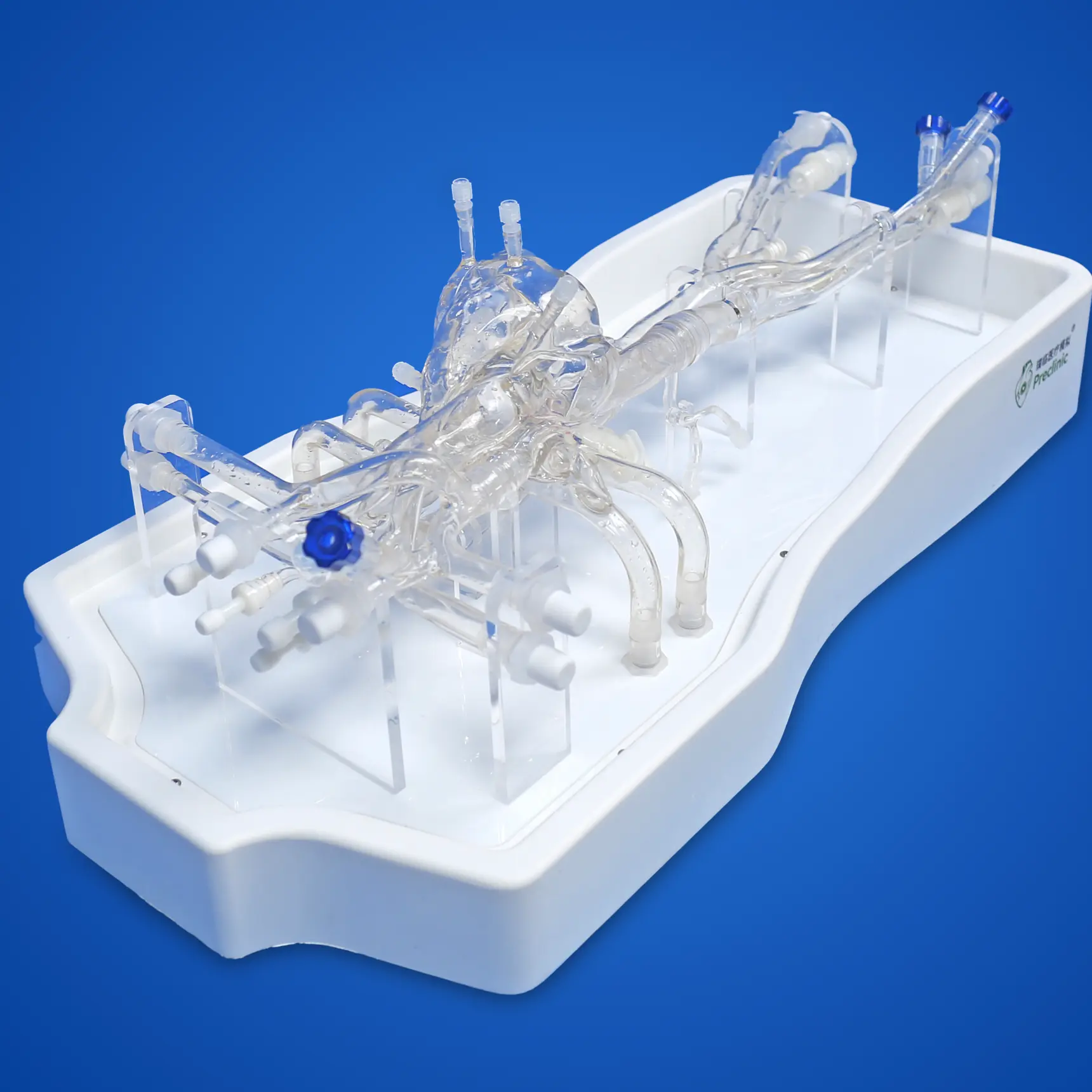 cardiac surgery simulator