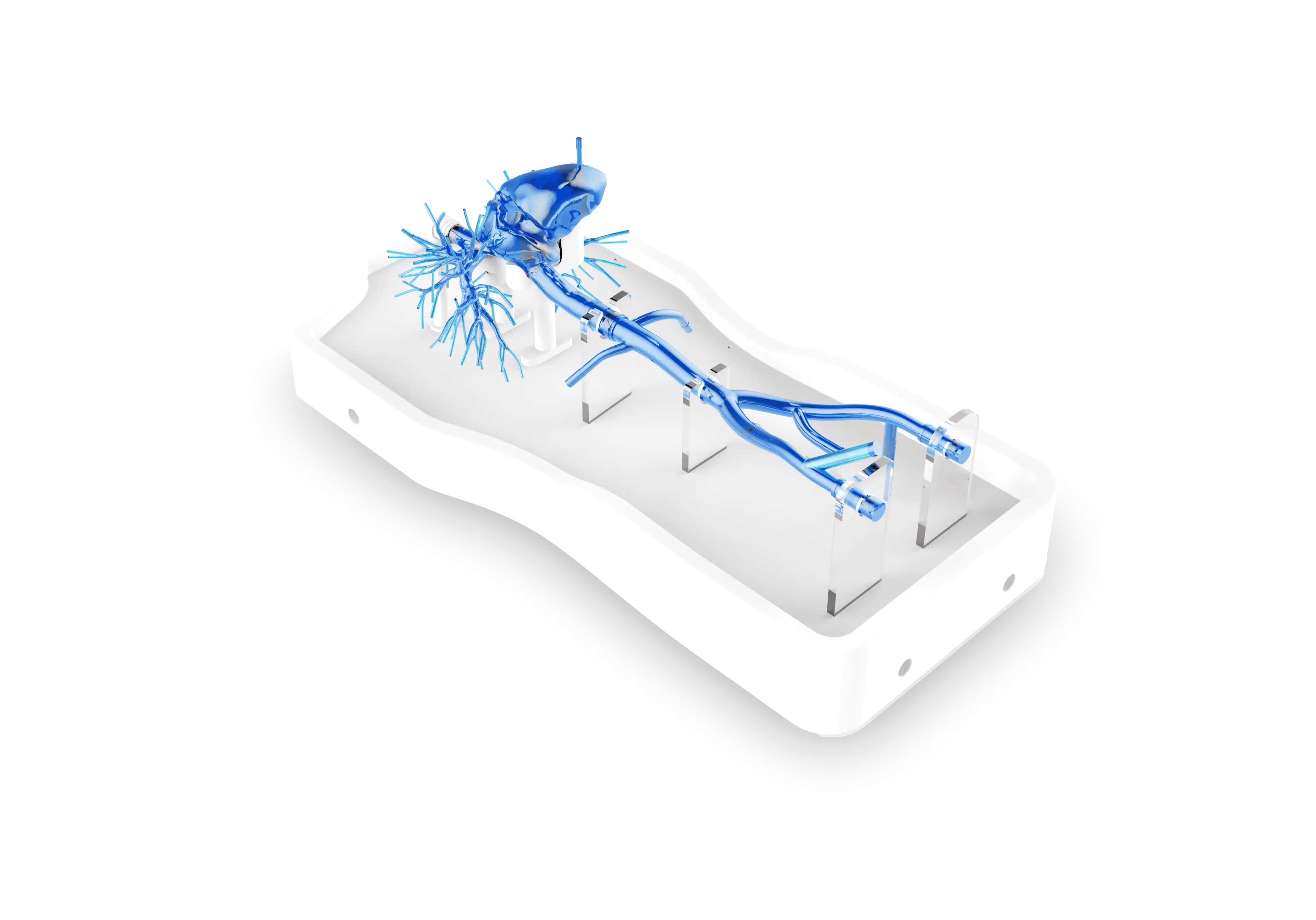 Drawing of Right Cardio-Pulmonary Artery Simulation Model