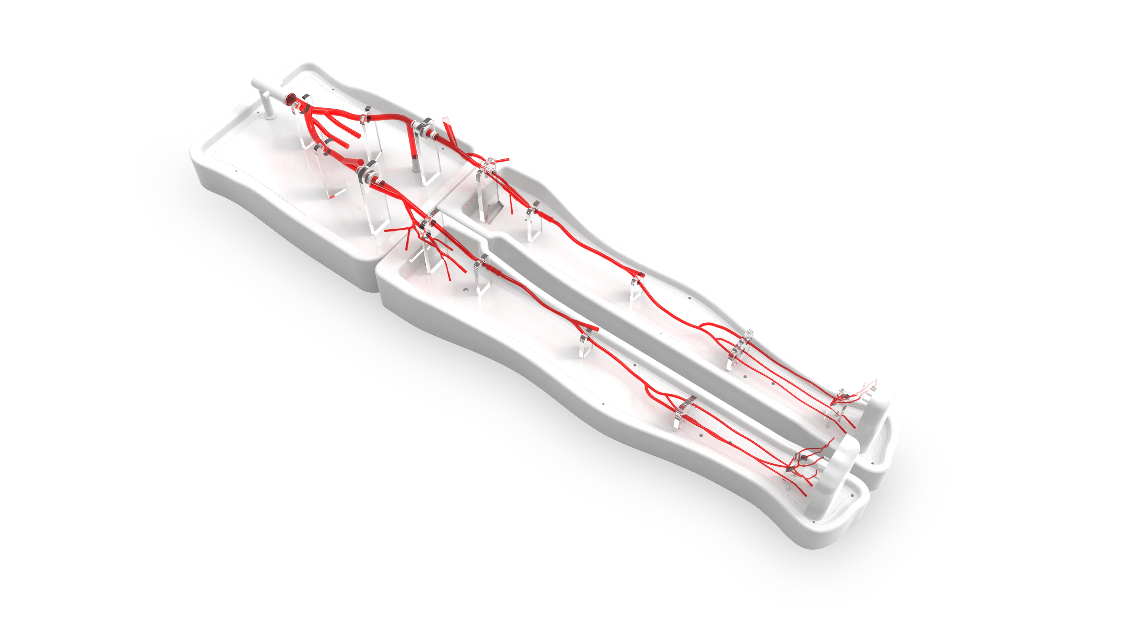 Drawing of Lower Extremity Artery Simulation Model