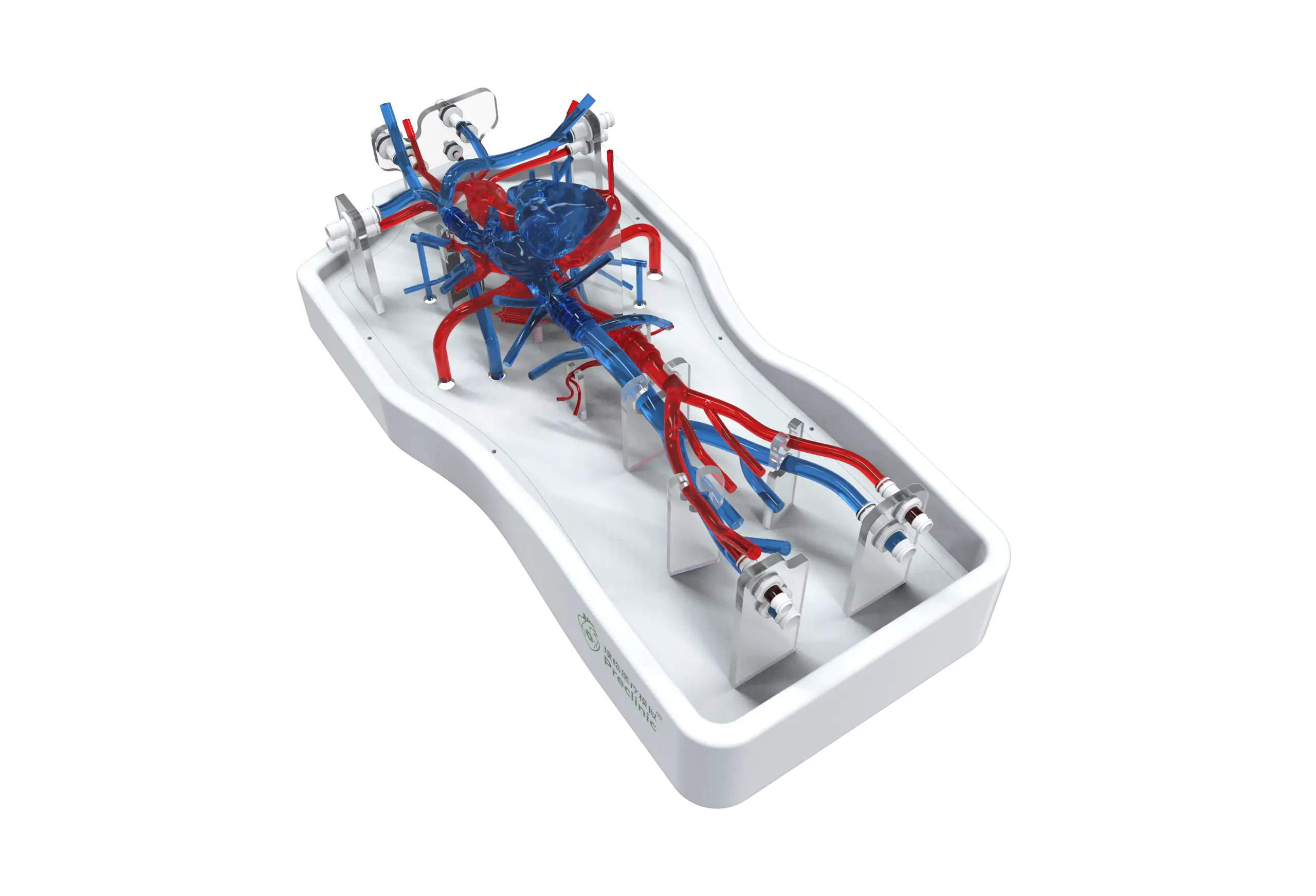 Drawing of Cardiac Training Model - Type B