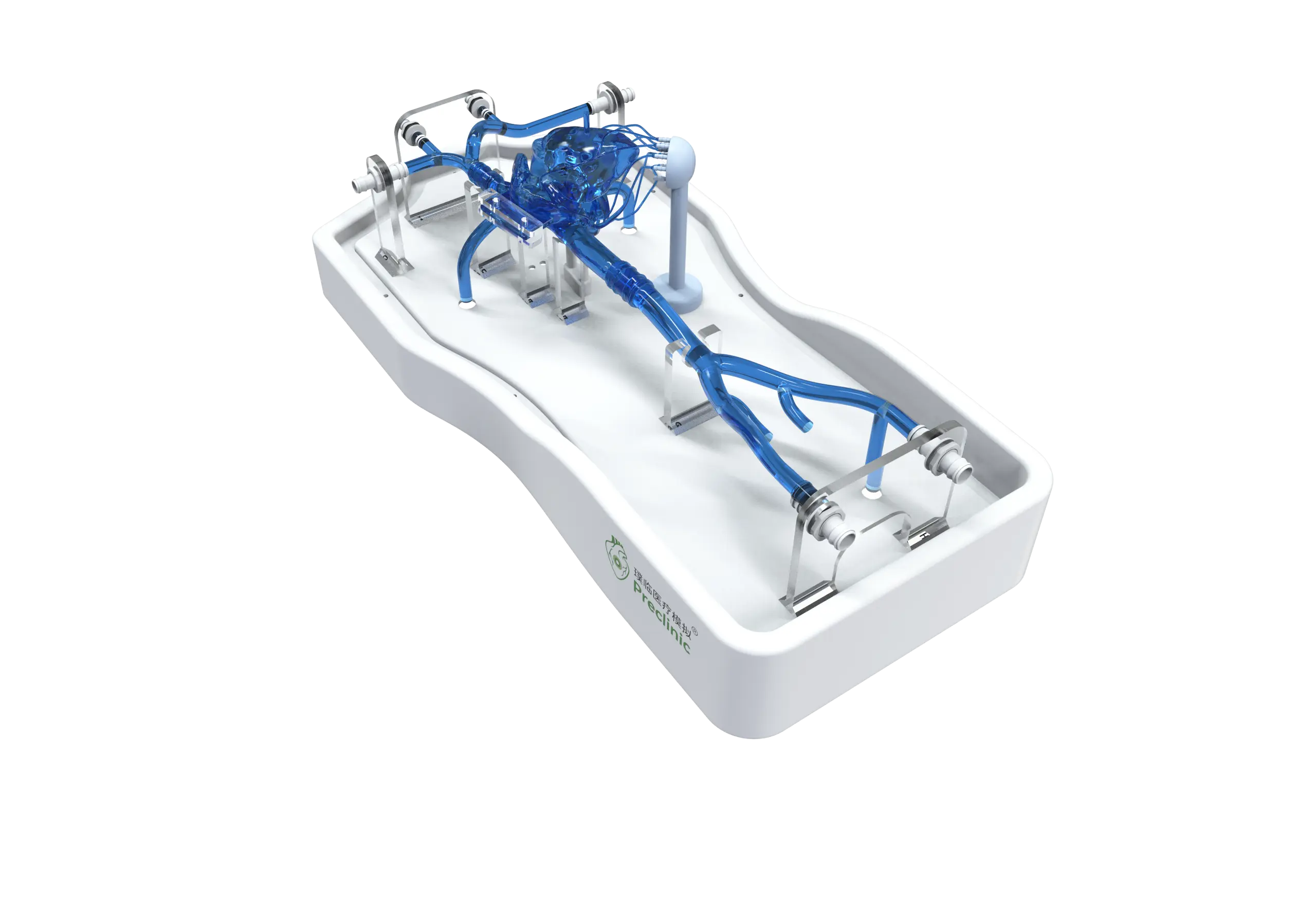 Drawing of Cardiac Veins Simulation Model