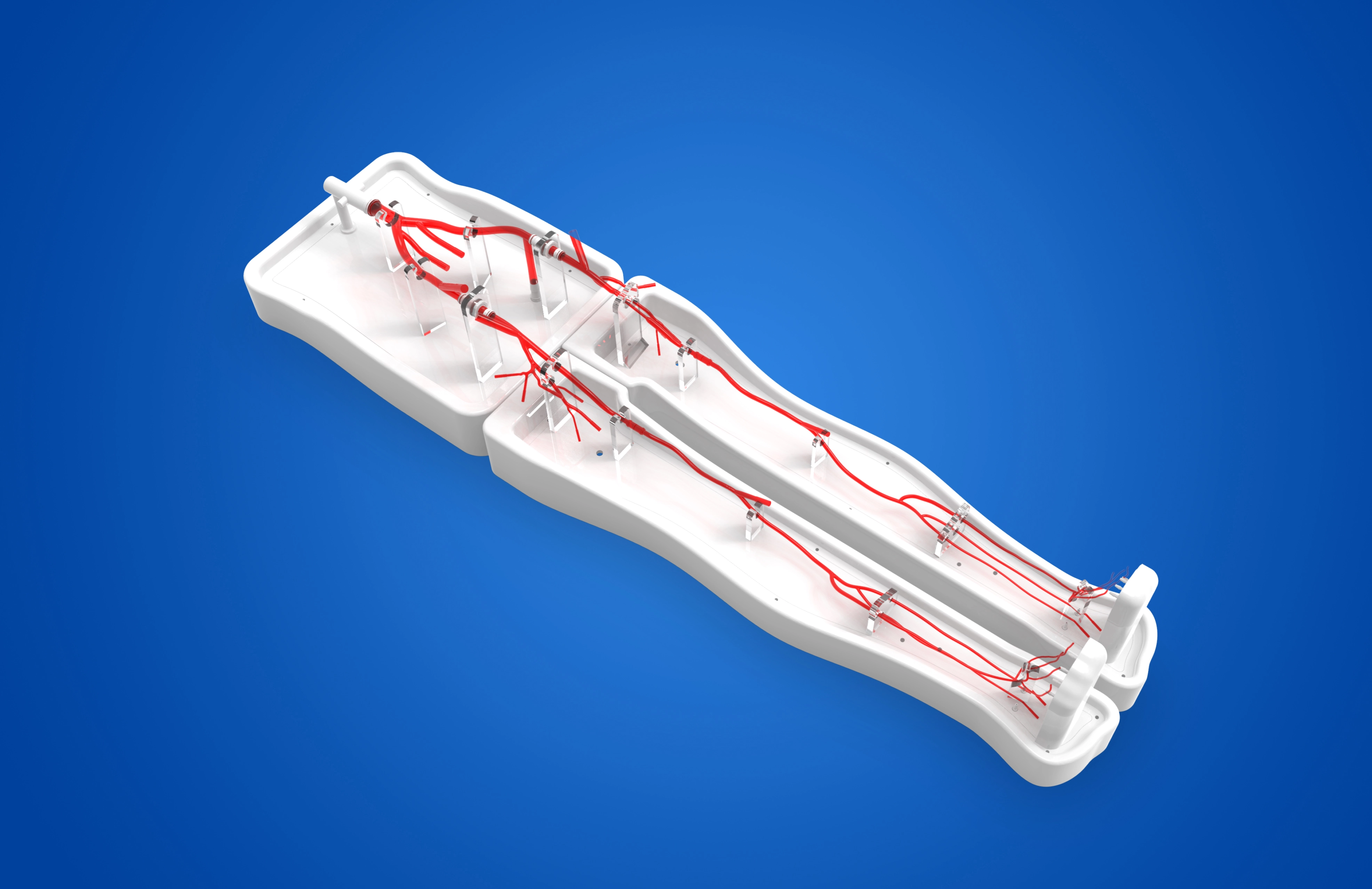Lower Extremity Artery Simulation Model