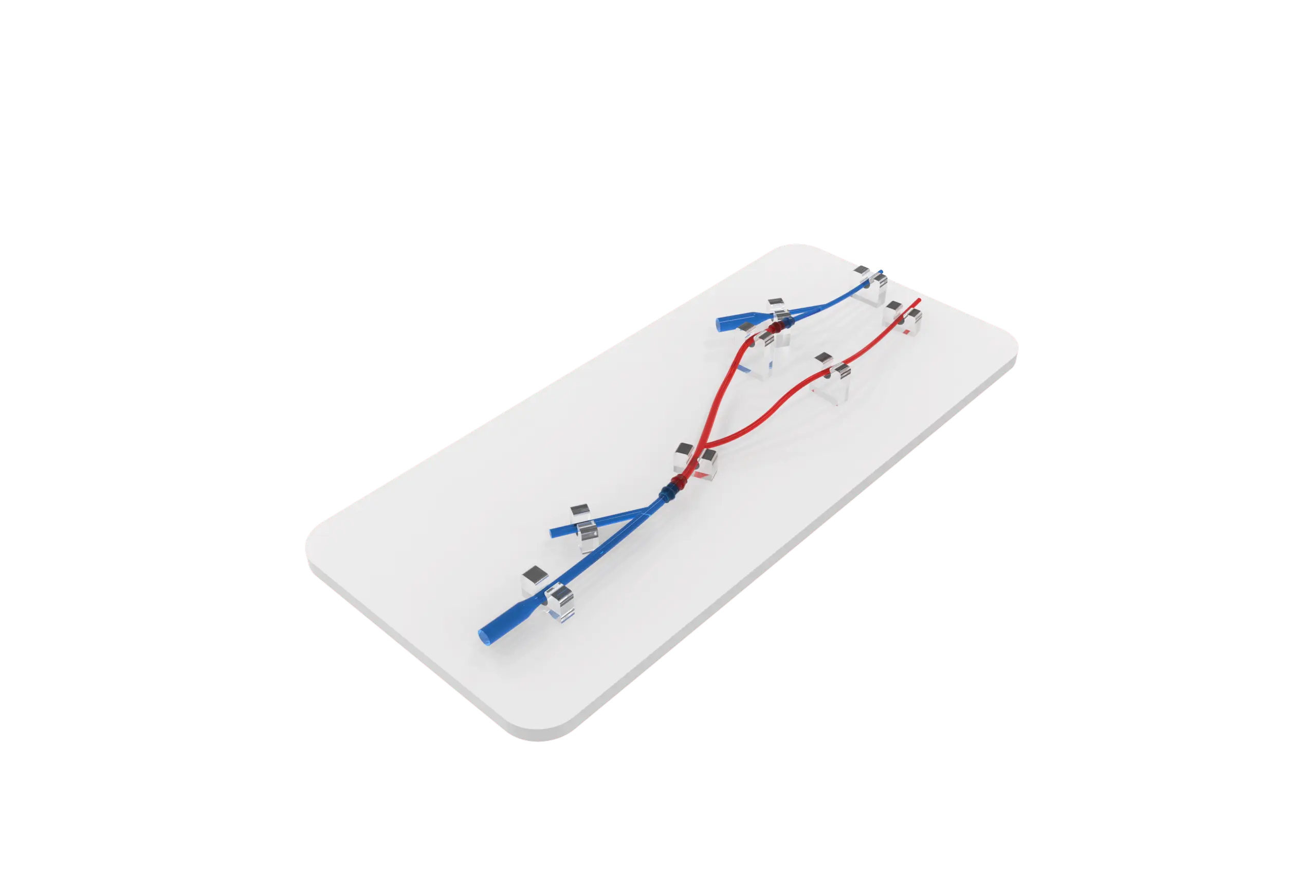 Drawing of Upper limb arteriovenous fistula model