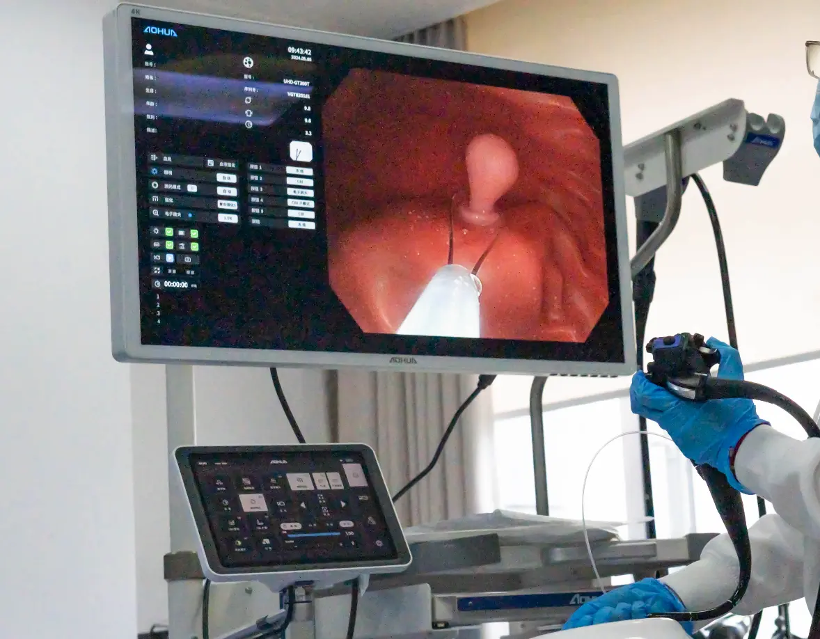 Colonoscopy Training Model Manufacturer | Preclinic Medtech