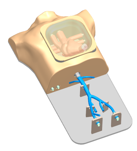 Drawing of Ultrasound cardiac training model
