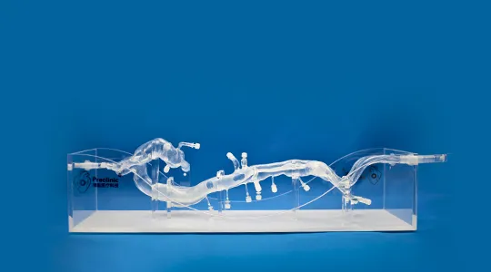 Preclinic Introduction to High-Reality Models