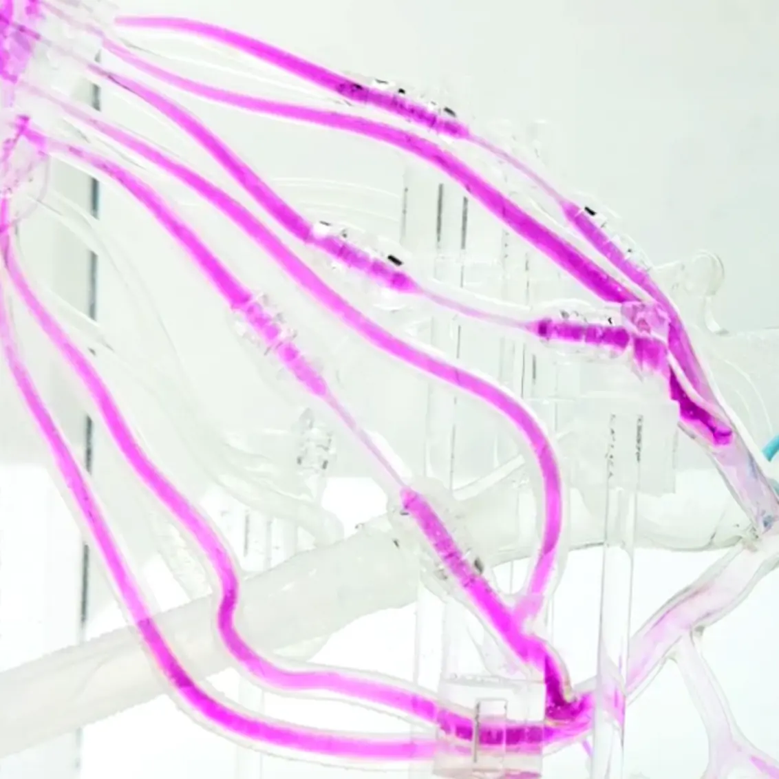 Coronary Training Model - C（Immersion version）Factory