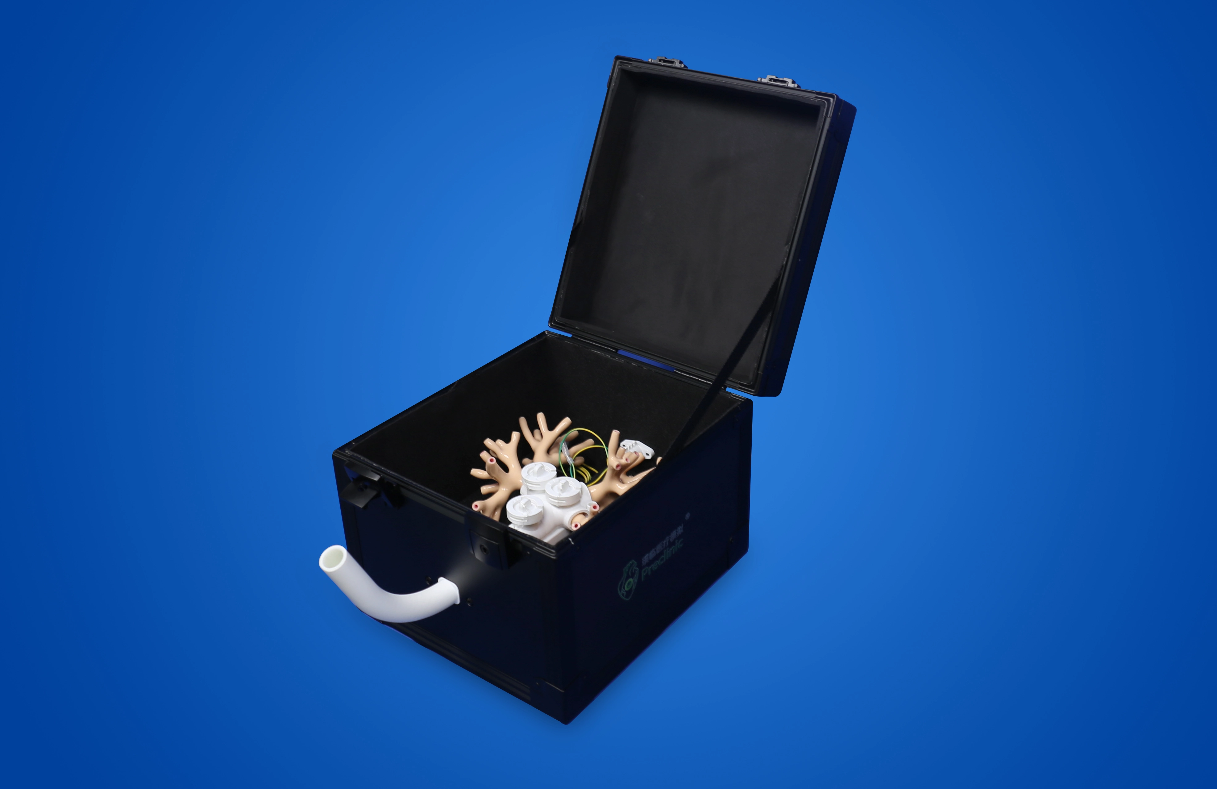 Endobronchial Therapy Training Model