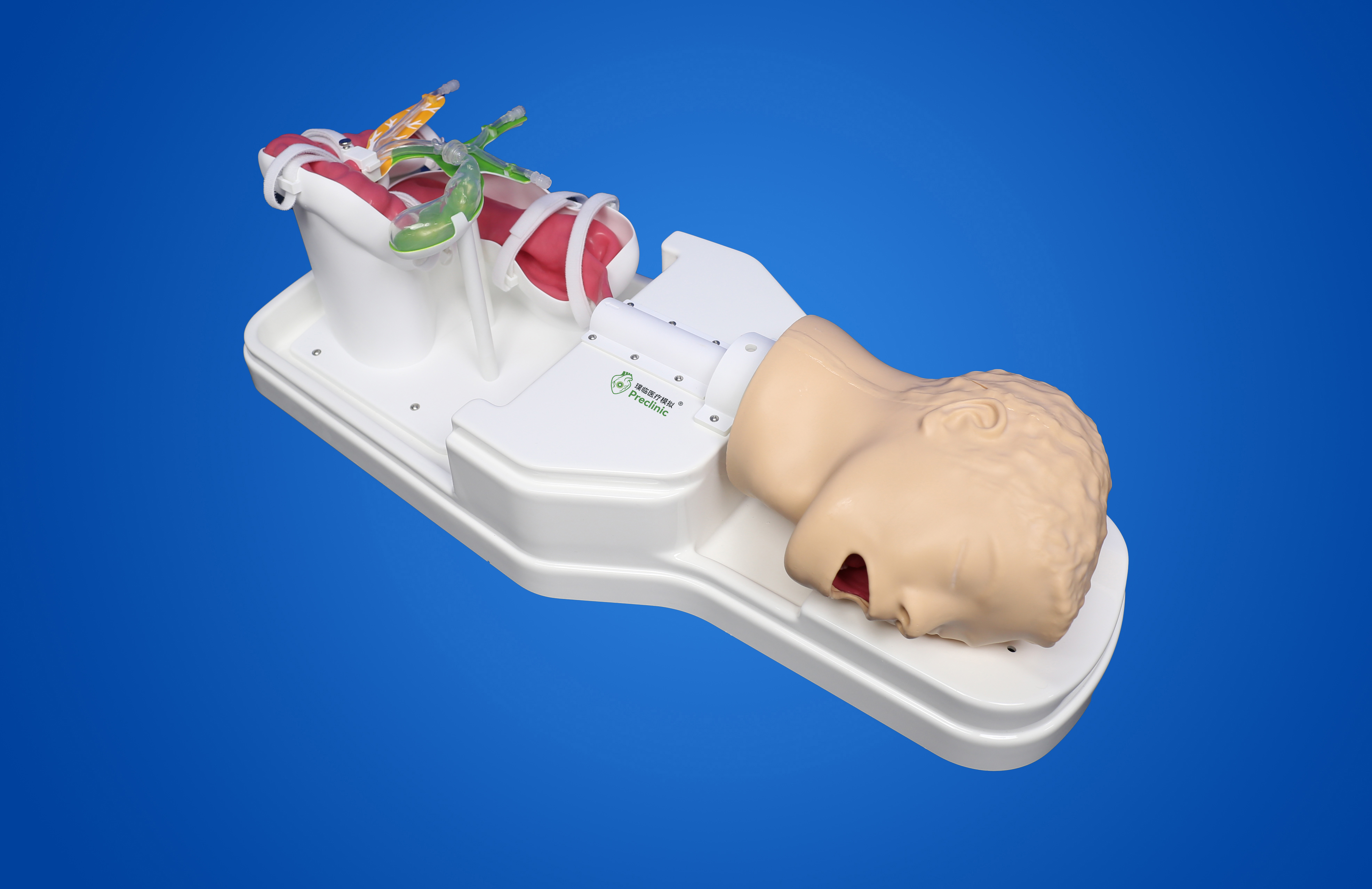 ERCP training model
