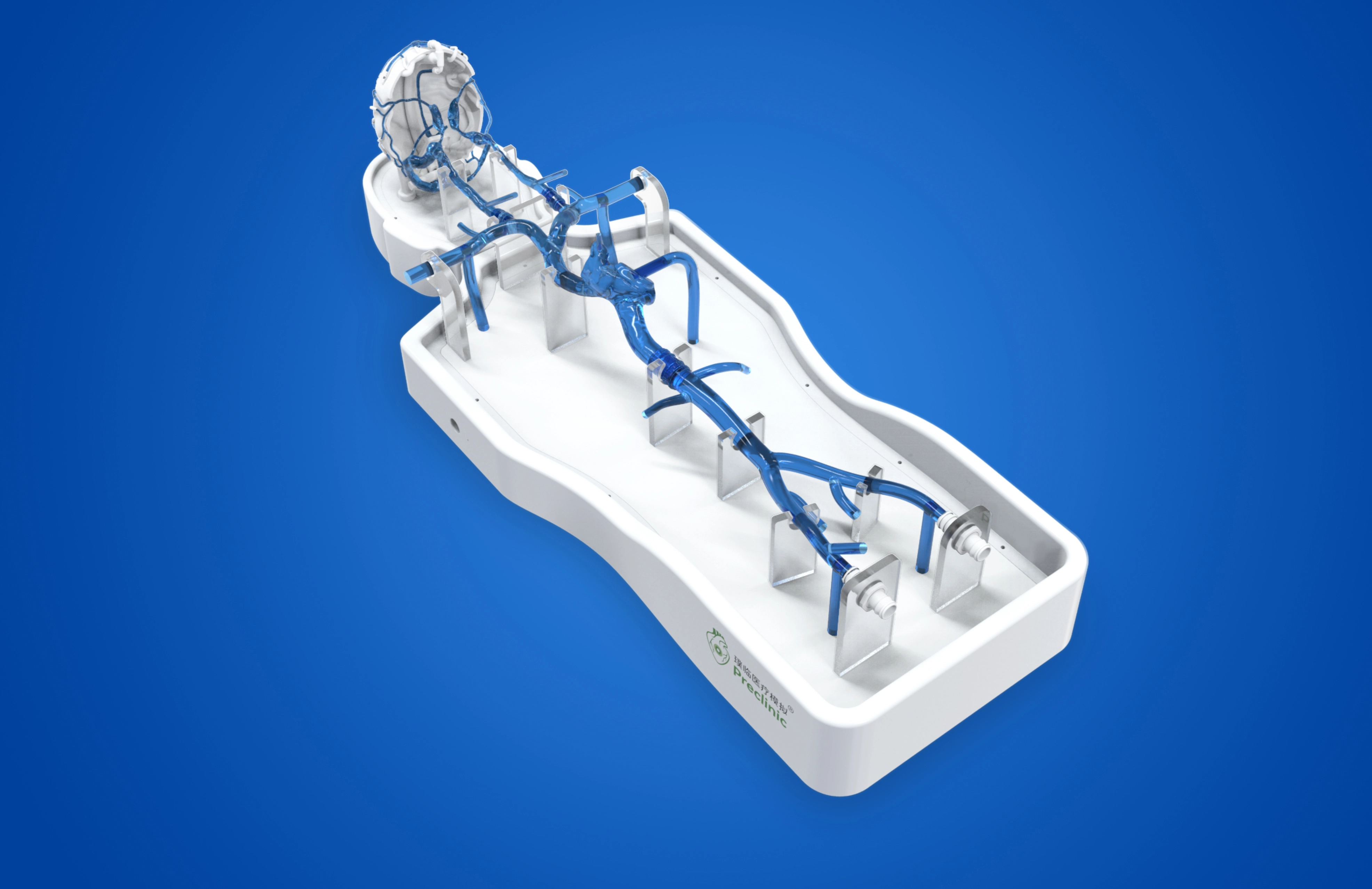 Intracranial-Femoral Operation Vein Model