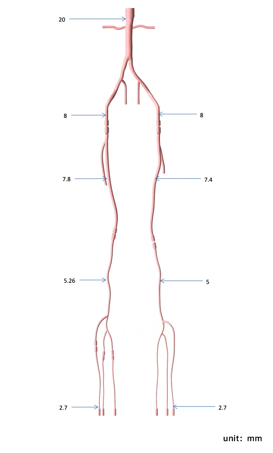 Main Dimensions of Lower Extremity Artery Simulation Model