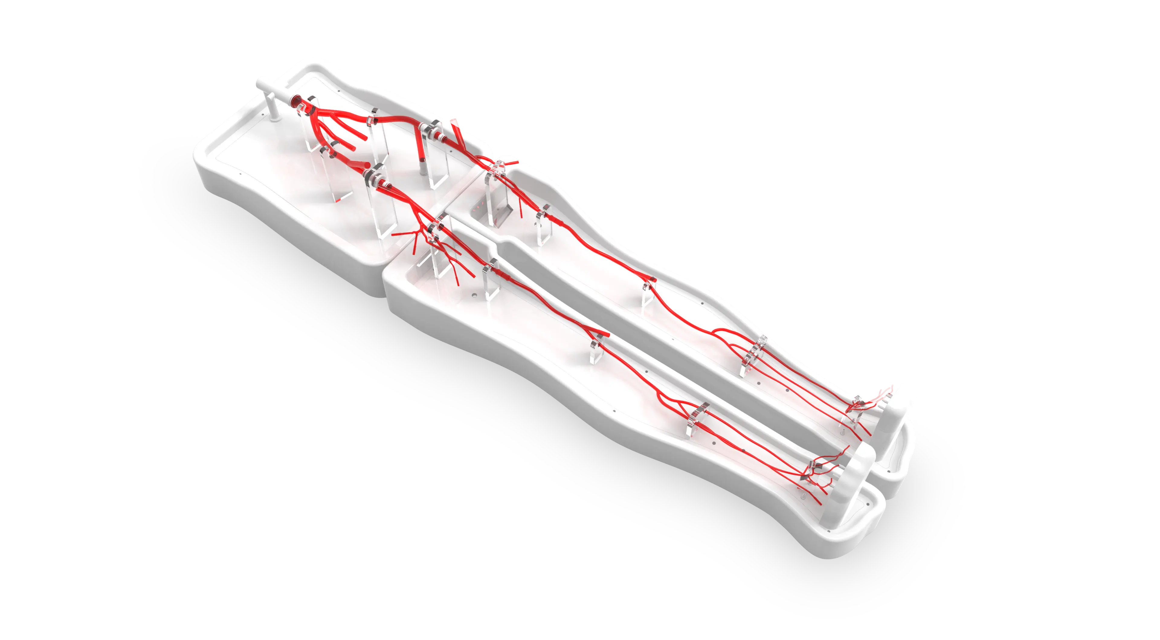 Main Dimensions of Lower Extremity Artery Simulation Model