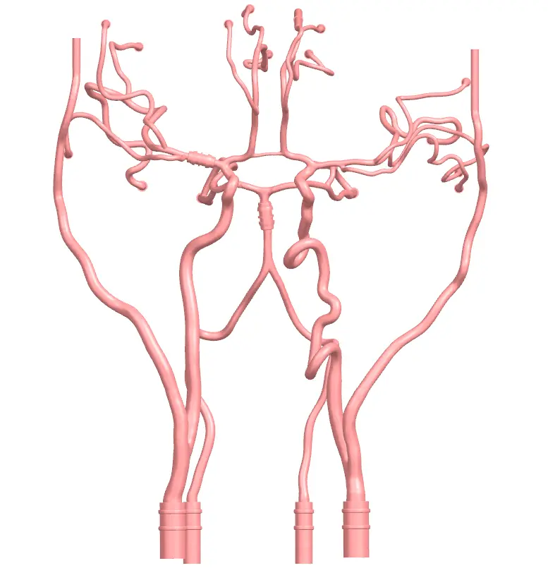 Main Dimensions of Neurovascular operation training model-type B