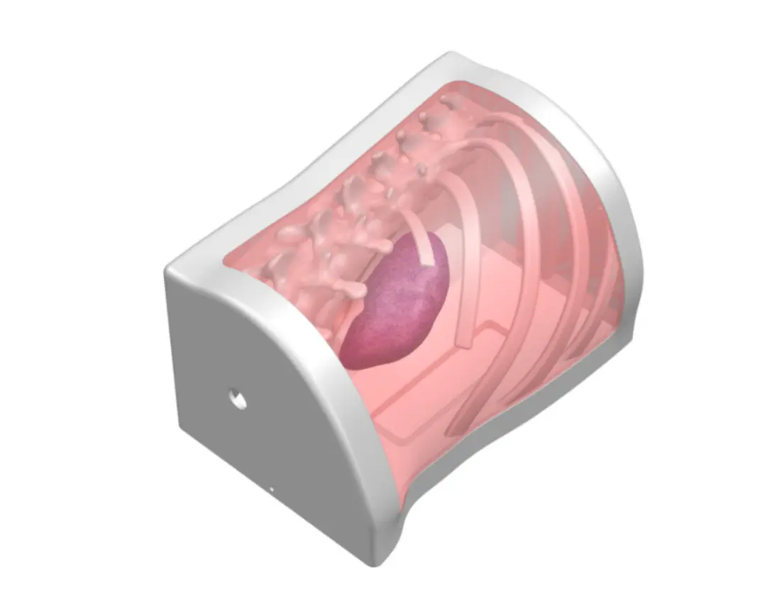 Main Dimensions of Percutaneous nephrolithotomy puncture model