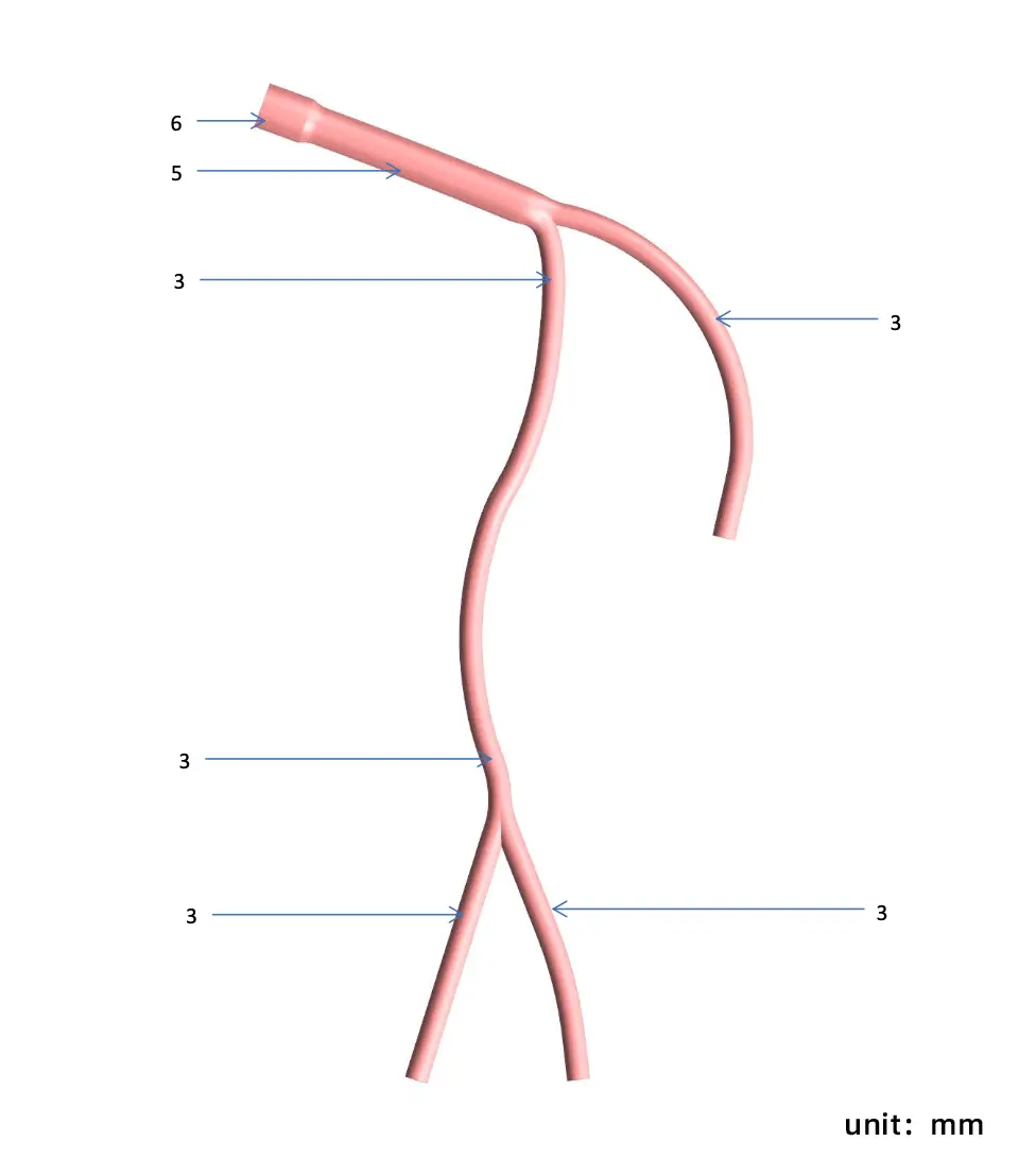 Main Dimensions of Planar Left Coronary Vessel Model (Aortic Approach)