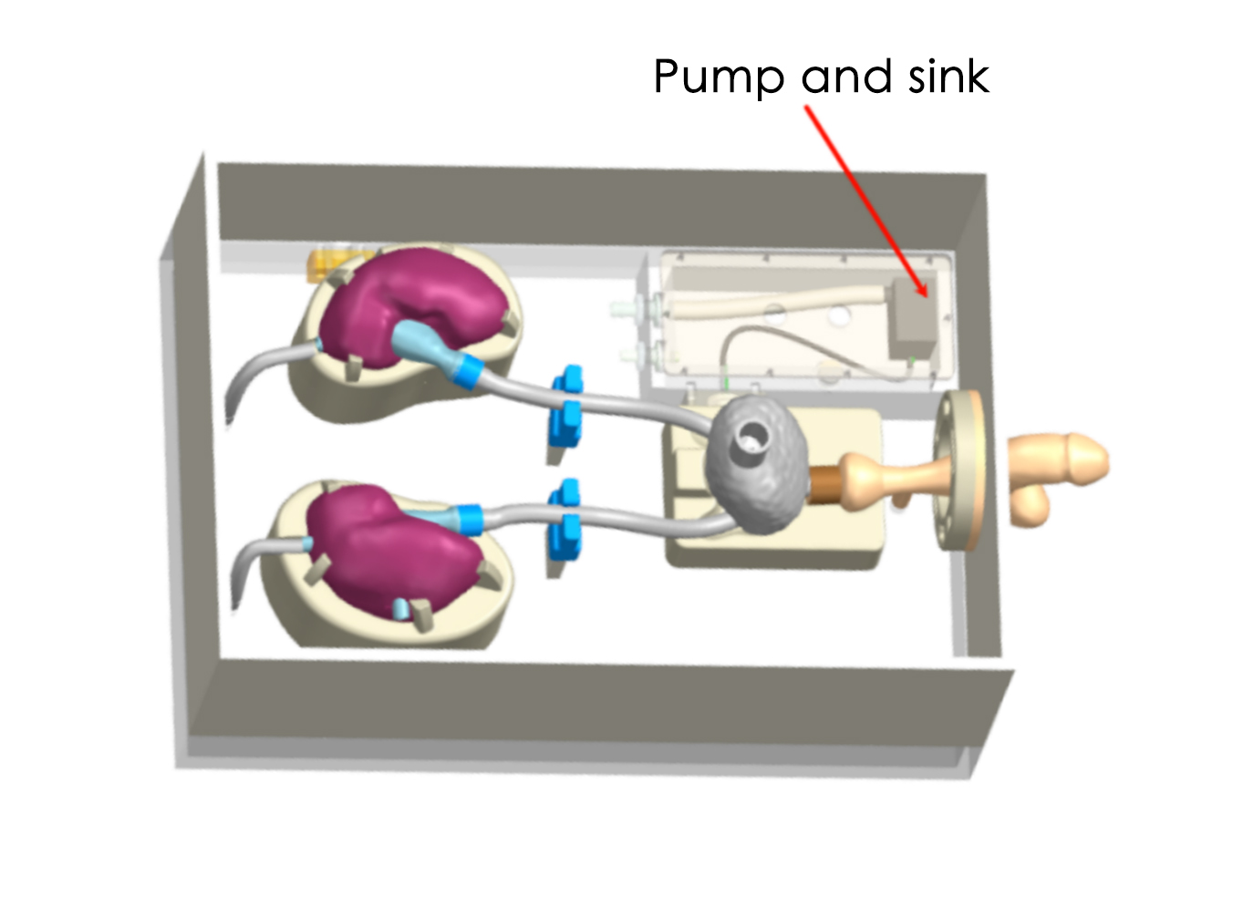 Drawing of Urological Endoscope Training Model (Acrylic version)