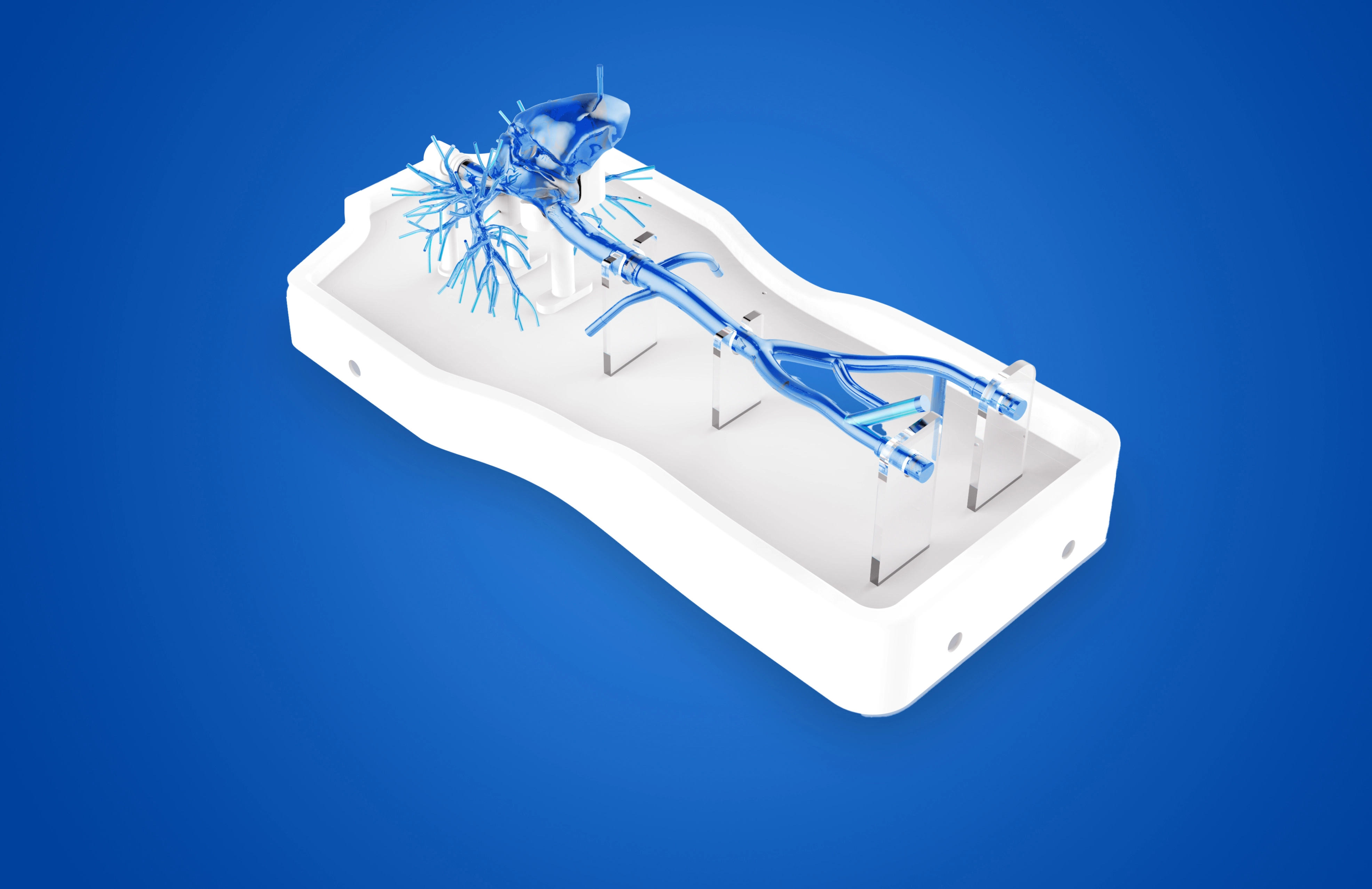 Right Cardio-Pulmonary Artery Simulation Model