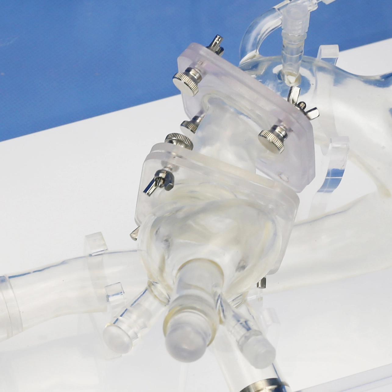 TAVR Simulation Model